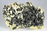 Black Tourmaline (Schorl) Crystals with Orthoclase - Namibia #177554-1
